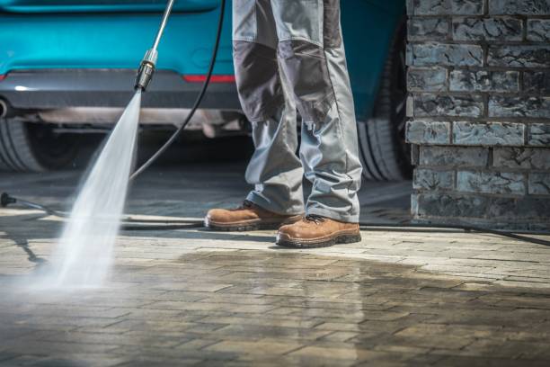 Best Gutter Cleaning  in Springfield, MN